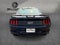 2019 Ford Mustang GT Premium Fastback