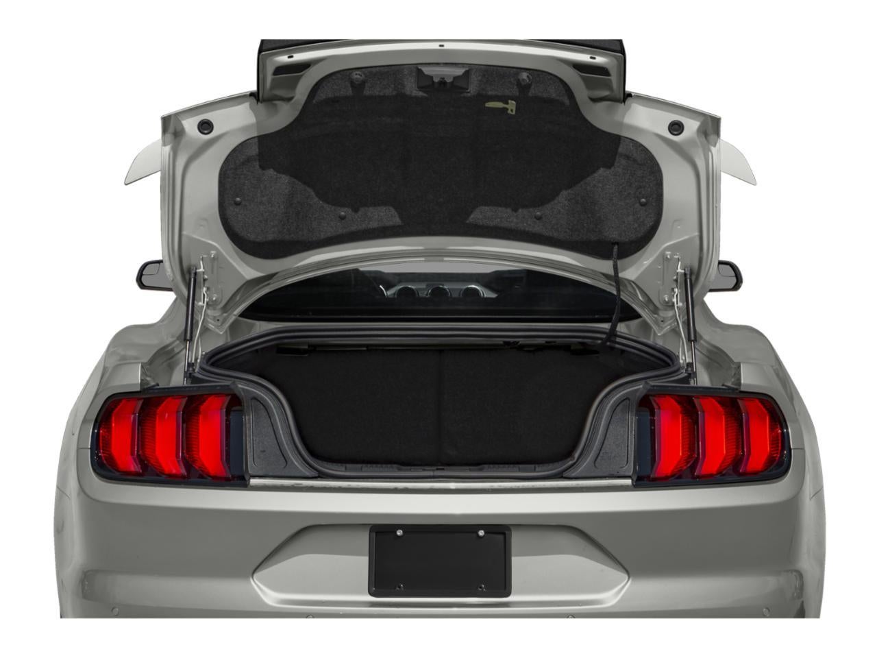 2019 Ford Mustang GT Premium Fastback