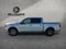 2019 Ford F-150 XLT 4WD SuperCrew 5.5' Box
