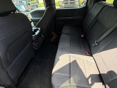 2024 Ford F-150 STX 4WD SuperCrew 5.5' Box