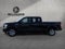 2019 Ford F-150 XL 4WD SuperCrew 5.5' Box