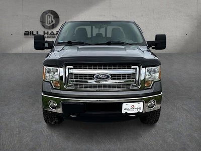 2014 Ford F-150 4WD SuperCrew 5-1/2 Ft Box XLT