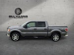 2014 Ford F-150 4WD SuperCrew 5-1/2 Ft Box XLT