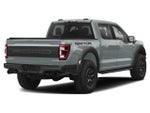 2023 Ford F-150 Raptor 4WD SuperCrew 5.5' Box