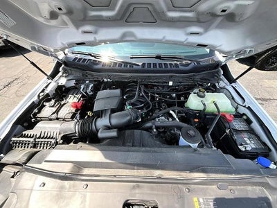 2024 Ford Super Duty F-250 SRW XL 4WD Reg Cab 8' Box