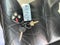 2005 Chevrolet SSR LS