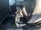 2025 Chevrolet Colorado Crew Cab Short Box 4-Wheel Drive ZR2