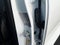 2025 GMC Canyon Crew Cab Short Box 4-Wheel Drive Denali