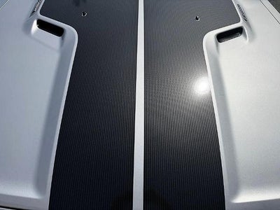 2009 Dodge Challenger 2dr Cpe SRT8