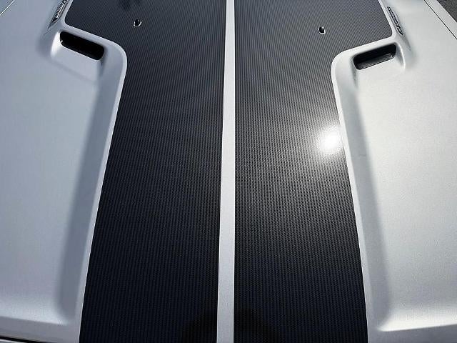 2009 Dodge Challenger 2dr Cpe SRT8