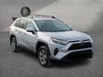 2024 Toyota RAV4 XLE AWD (Natl)