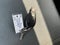 2018 RAM 3500 Chassis Cab Tradesman 4WD Reg Cab 60" CA 143.5" WB 10K GVWR