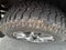 2020 Chevrolet Silverado 1500 Crew Cab Short Box 4-Wheel Drive LT