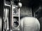 2021 Toyota Tacoma 4WD 4WD SR5 Double Cab 5' Bed V6 AT (GS)