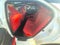 2019 Toyota Camry XSE Auto (Natl)