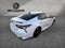 2019 Toyota Camry XSE Auto (Natl)