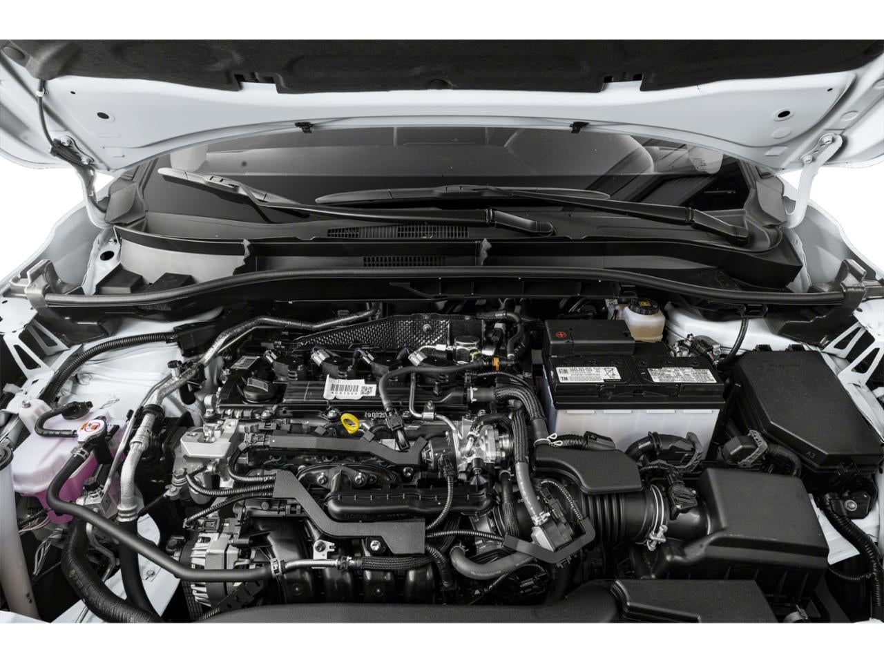 2025 Toyota Corolla Cross XLE 2WD (Natl)