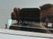 2024 Lexus GX 550 Premium+ 4WD