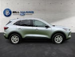 2024 Ford Escape Active AWD