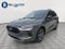 2023 Ford Escape ST-Line AWD