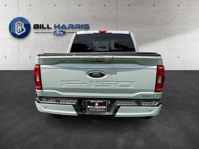 2023 Ford F-150 XLT 4WD SuperCrew 5.5' Box