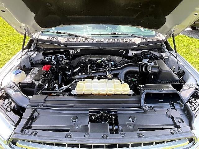 2019 Ford F-150 XLT 4WD SuperCrew 5.5' Box