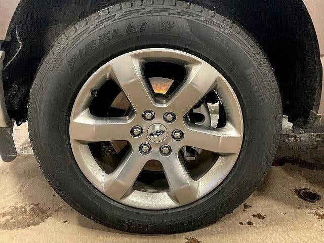 2023 Ford F-150 XLT 4WD SuperCrew 5.5' Box